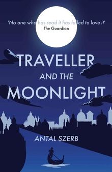 Traveller and the Moonlight