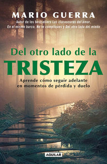 Del otro lado de la tristeza: Aprende como seguir adelante en momentos de pérdida y duelo