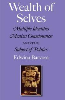 Wealth of Selves : Multiple Identities, Mestiza Consciousness, and the Subject of Politics