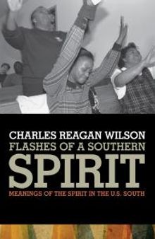 Flashes of a Southern Spirit : Meanings of the Spirit in the U.S. South