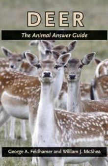 Deer : The Animal Answer Guide
