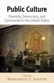 Public Culture : Diversity, Democracy, and Community in the United States