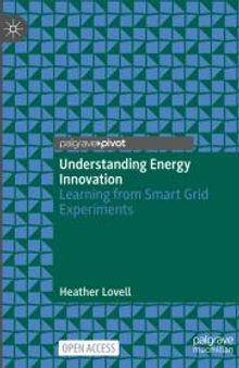 Understanding Energy Innovation : Learning from Smart Grid Experiments