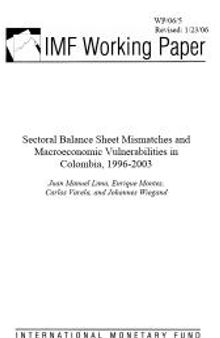 Sectoral Balance Sheet Mismatches and Macroeconomic Vulnerabilities in Colombia, 1996-2003