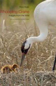 Whooping Crane: Images from the Wild