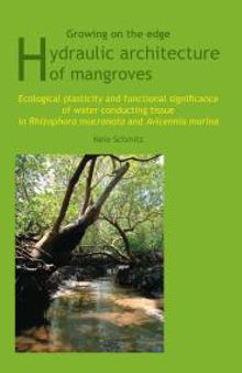 Growing on the Edge: Hydraulic Architecture of Mangroves - Ecological Plasticity and Functional Significance of Water Conducting Tissue in Rhizophora Mucronata and Avicennia Marina