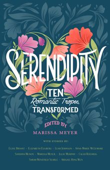 Serendipity Ten Romantic Tropes, Transformed