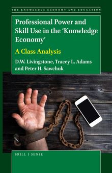 Professional Power and Skill Use in the 'Knowledge Economy': A Class Analysis