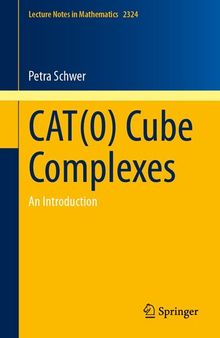 CAT(0) Cube Complexes: An Introduction (Lecture Notes in Mathematics, 2324)