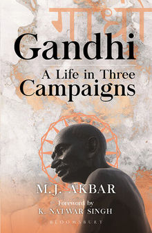 Gandhi: A Life in Three Campaigns