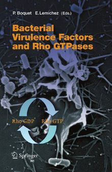 Bacterial Virulence Factors and Rho GTPases (Current Topics in Microbiology and Immunology, 291)