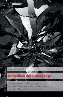 Ästhetiken des Untergangs: Phänomenologische Betrachtung von Narrationsmöglichkeiten der Moderne. Hölderlin - Nietzsche - Jünger - Krach