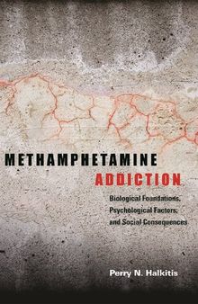 Methamphetamine Addiction: Biological Foundations, Psychological Factors, and Social Consequences