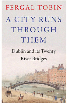 A City Runs Through Them - Dublin and its Twenty River Bridges