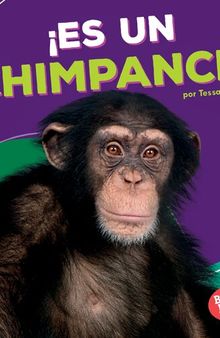 ¡Es un chimpancé! = It's a Chimpanzee!