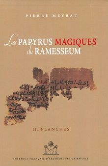 Les papyrus magiques du Ramesseum : Recherche sur une bibliothèque privée de la fin du Moyen Empire