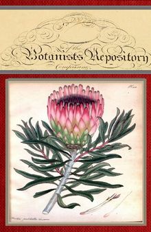 The botanist's repository for new and rare plants; vol. 7
