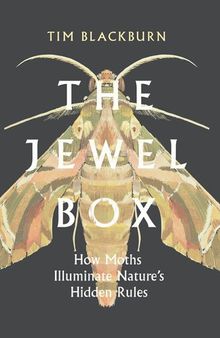The Jewel Box: How Moths Illuminate Nature’s Hidden Rules