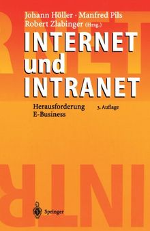 Internet und Intranet: Herausforderung E-Business, 3. Auflage