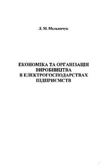 Економіка та організація виробництва в електрогосподарствах підприємств