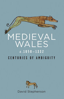 Medieval Wales c.1050-1332: Centuries of Ambiguity