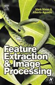 Feature extraction in computer vision and image processing