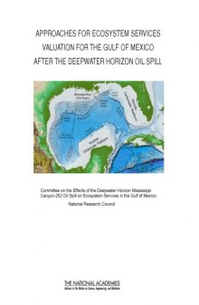 Approaches for Ecosystem Services Valuation for the Gulf of Mexico After the Deepwater Horizon Oil Spill: Interim Report (2011)
