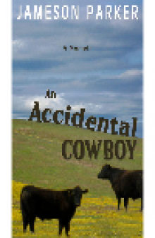An Accidental Cowboy
