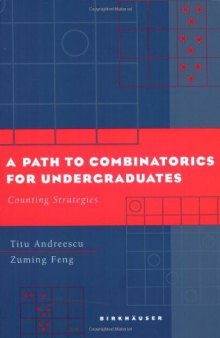 A Path to Combinatorics for Undergraduates: Counting Strategies