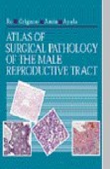 Atlas of surgical pathology of the male reproductive tract