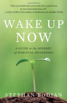 Wake Up Now: A Guide to the Journey of Spiritual Awakening