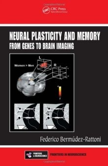 Neural Plasticity and Memory: From Genes to Brain Imaging