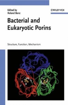 Bacterial and Eukaryotic Porins: Structure, Function, Mechanism