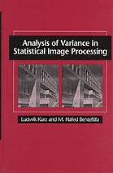 Analysis of variance in statistical image processing