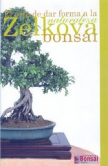 Bonsai La Zelkivo