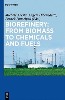 Biorefinery : from biomass to chemicals and fuels