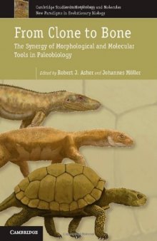 From Clone to Bone: The Synergy of Morphological and Molecular Tools in Palaeobiology