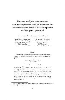 Blow up analysis, existence and qualitative properties of solutions for the two dimensional emden-fowler equation with singular potential