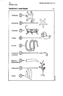 Animal Anatomy on File (Facts on File Science Library)