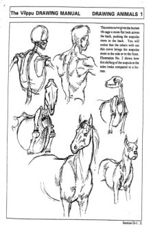 Vilppu animal drawing manual