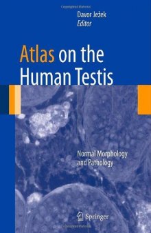 Atlas on the human testis : normal morphology and pathology