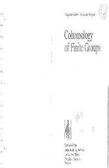 Cohomology of finite groups