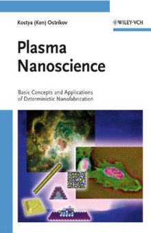 Plasma Nanoscience: Basic Concepts and Applications of Deterministic Nanofabrication