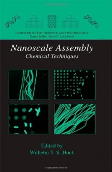 Nanoscale assembly: chemical techniques