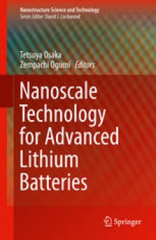 Nanoscale Technology for Advanced Lithium Batteries