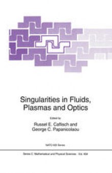 Singularities in Fluids, Plasmas and Optics