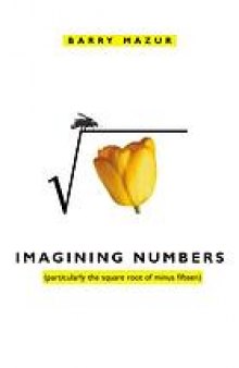 Imagining numbers : (particularly the square root of minus fifteen)