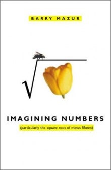 Imagining Numbers: (particularly the square root of minus fifteen)