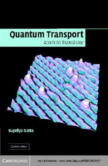 Quantum Transport