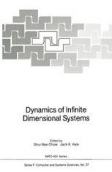 Dynamics of Infinite Dimensional Systems